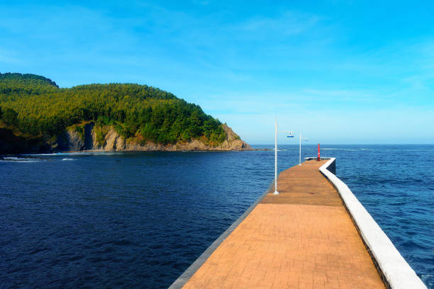 istock Pier in Armintza on sunny day 1134493926
