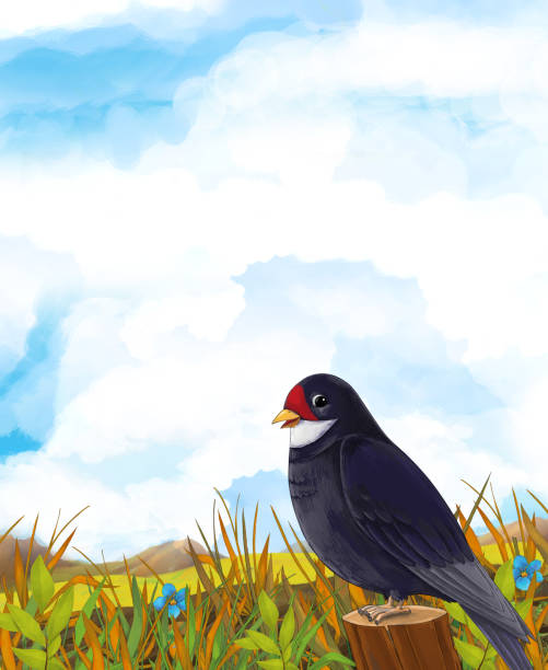 草原の美しいカッコウの鳥と漫画のシーン - young bird illustrations点のイラスト素材／クリップアート素材／マンガ素材／アイコン素材
