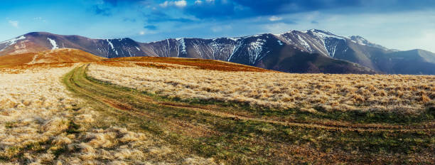 istock Magical yellow dry grass glowing by sunlight. 1134499184
