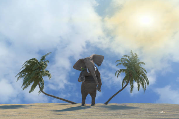 istock funny elephant resting at the resort on the beach render 3D 1134500522