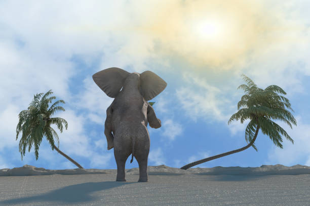 istock funny elephant resting at the resort on the beach render 3D 1134500545