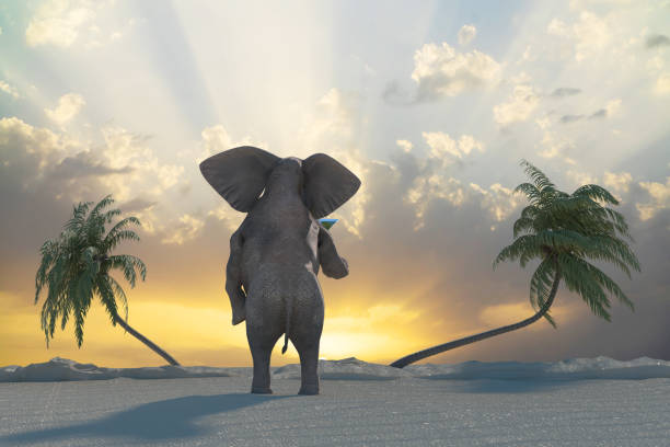 istock funny elephant resting at the resort on the beach render 3D 1134500547
