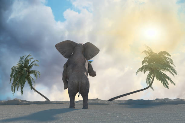 istock funny elephant resting at the resort on the beach render 3D 1134501070