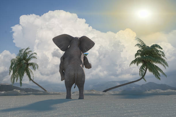 istock funny elephant resting at the resort on the beach render 3D 1134501600