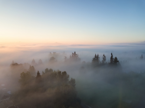 Aerial view of a residential neighborhood covered in a layer of fog during a vibrant sunrise. Taken in Greater Vancouver, BC, Canada.