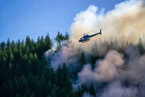 Helicopter fighting BC forest fires during a hot sunny summer day. Taken near Port Alice, Northern Vancouver Island, British Columbia, Canada.