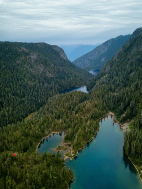 istock Canadian Landscape 1134502408