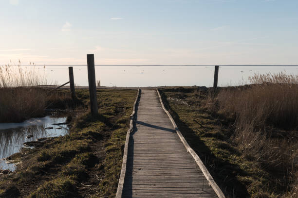 istock Wooden footpath by the coast 1134503709