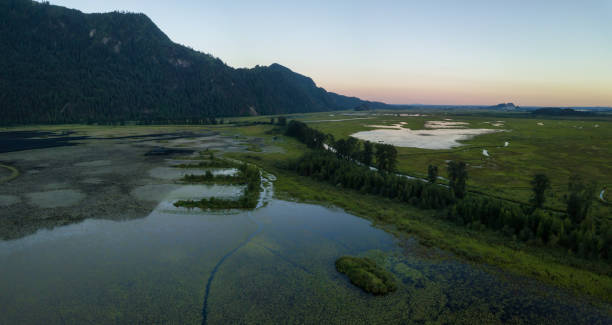 istock Pitt Lake Aerial 1134503927