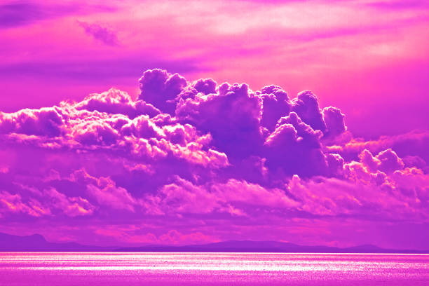 Pantone color of Ultra Violet, pink, purple in Nature