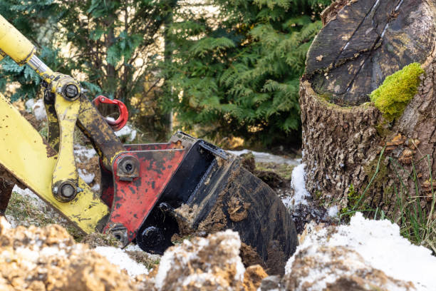 istock An excavator works in the garden, removing a root 1134506451