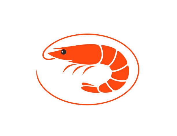 ilustrações de stock, clip art, desenhos animados e ícones de shrimp logo. isolated shrimp on white background. prawns - shrimp