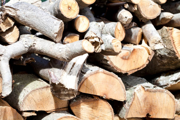 istock Background of dry chopped firewood 1134510342