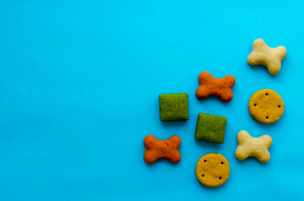 istock biscuits for dogs on blue paper background 1134511174