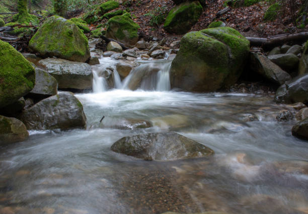 istock Swanson Creek Rushing in Uvas Canyon County Park 1134512200