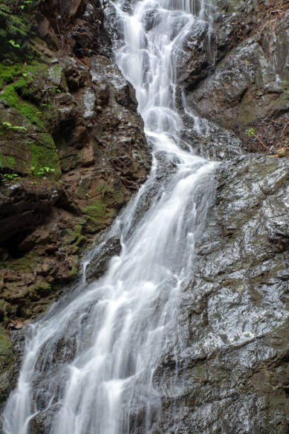 istock Triple Falls in Uvas Canyon County Park 1134512232