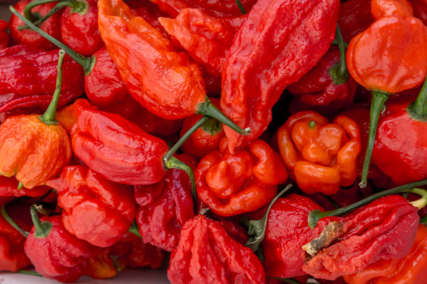 istock Hot Habanero Peppers 1134512240