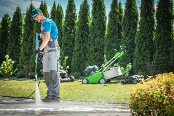 istock Pressure Washing Job 1134513285