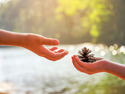 The hands of the child give the plant seed to the another guy in the national park with water background