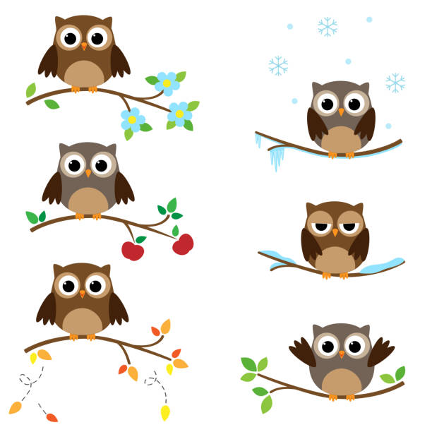 ilustraciones, imágenes clip art, dibujos animados e iconos de stock de búhos en ramas - owl