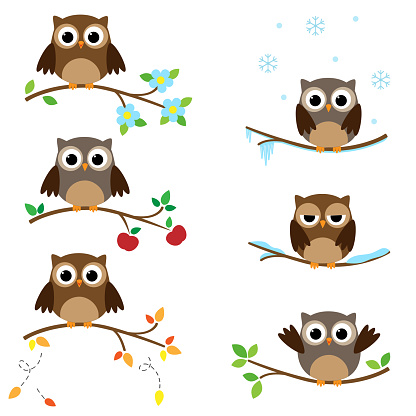 Set of branches with sitting owls. Different seasons of the year