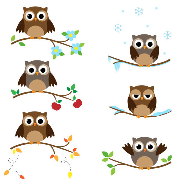 Owls on branches Set of branches with sitting owls. Different seasons of the year owl stock illustrations