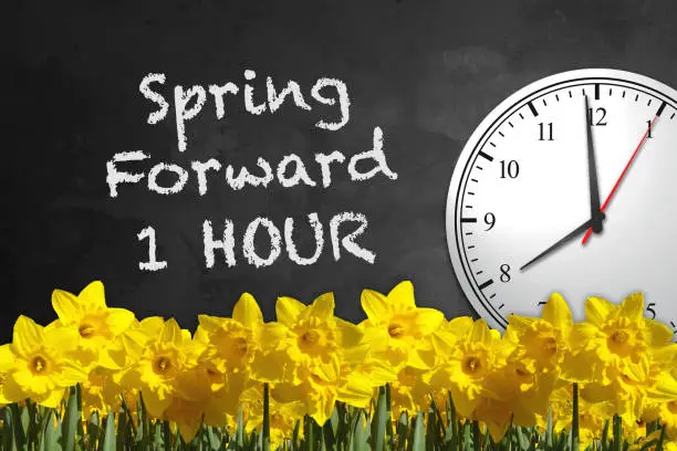 Chalkboard & Clock with Daffodils - Spring Forward