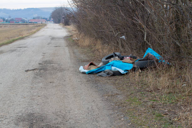 Fly tipped rubbish dumped in a lay-by in a country lane. Heap of illegally dumped household rubbish left on a side of the cart-road. Roadside fly tipping, dumping and polluting. Dumped rubbish. la basura con punta de mosca fue arrojada en un callejón en un carril del país. montón de basura doméstica abandonada ilegalmente a la izquierda en un lado del carro de la carretera. vuelco de carretera, vertido y contaminante. basura abandonada.