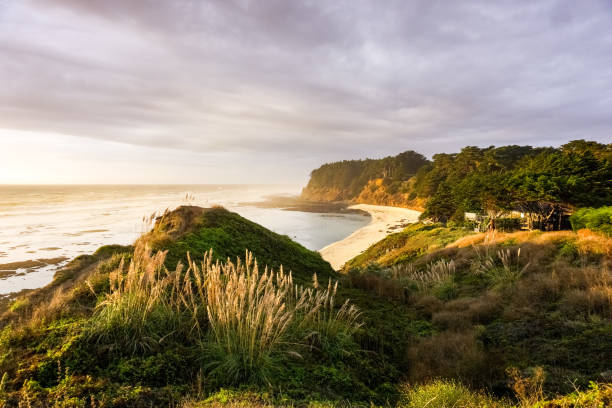 istock Sunset light on a cloudy day, Moss Beach, California 1134521806