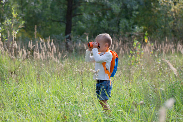 istock Young explorer watching with binoculars of birds in the high grass in the forest 1134524190