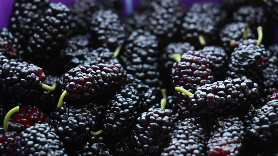 Close up shot of a heap of mulberry fruits.