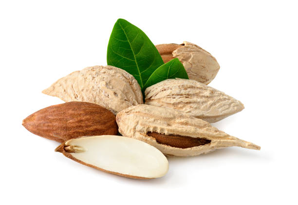 istock Almond nuts pile with green leaves isolated on white 1134529428