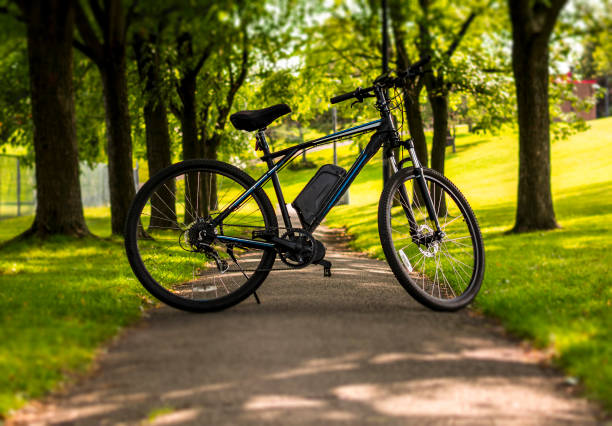 istock Electric bicycle on a pathway in a park on a sunny day 1134531391