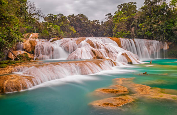 cascatas azuis da água, chiapas, méxico - mineral waterfall water flowing - fotografias e filmes do acervo