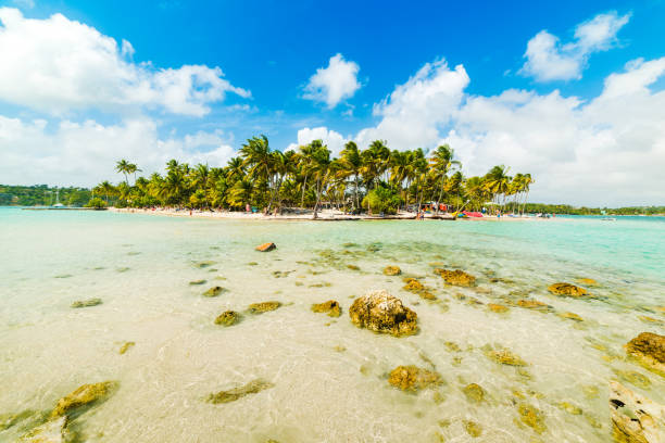 istock La Caravelle beach seen from the water 1134533055