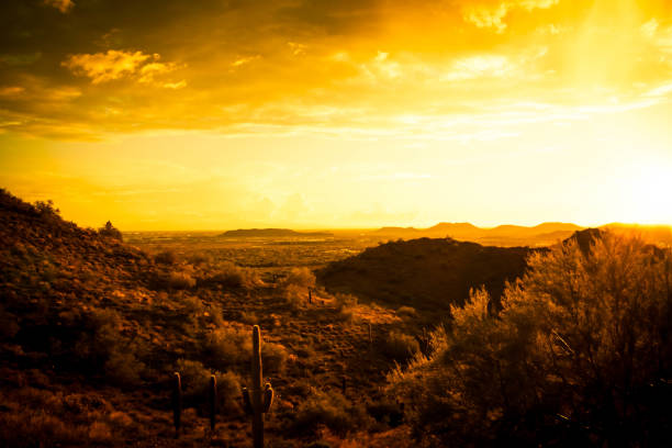 The sun setting over the desert of the American southwest with mountains and saguaro cactus in dramatic skies in warm tones.