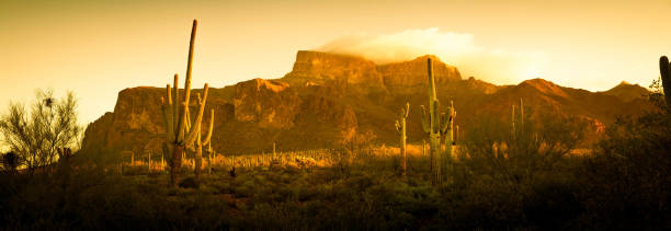 istock Panorama of the Superstition Mountains 1134533166