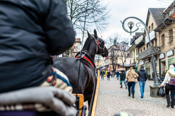 Photo from a horse carriage riding through the streets of the city of Zakopane. Zakopane, Poland - February 21, 2019. Photo from a horse carriage riding through the streets of the city of Zakopane.Visible urban buildings and tourists walking on the main street, Krupowki on a winter day. zakopane stock pictures, royalty-free photos & images