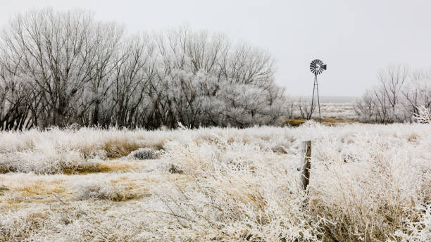 風車は、西カンザス州の平野で冷ややかな冬の朝にまだ立っています, 2 月2019 - prairie farm winter snow ストックフォトと画像