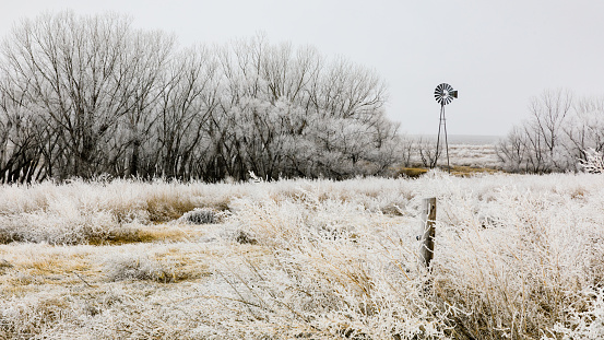 Frosted grass sways in the wind as the bare trees glisten white with the frozen air.  A windmill stands still. Western Kansas, February 2019