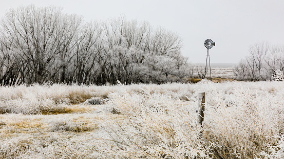 Sunny frosty meadow in the winter morning.