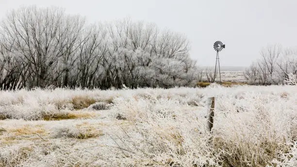 Photo of Windmill stands still on a frosty winter's morning in the plains of western Kansas, February 2019