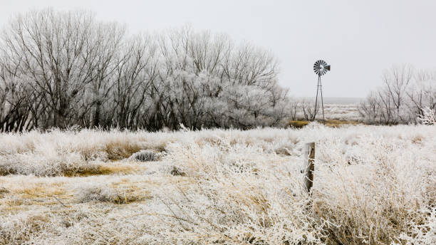 windmill stands still on a frosty winter's morning in the plains of western kansas, february 2019 - barbed wire rural scene wooden post fence imagens e fotografias de stock