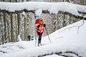 Women ski touring, late Winter - early Spring, in the Carpathian mountains, Romania. Girls with skis, backpacks, and poles, on a touring trail with fresh, deep, snow.