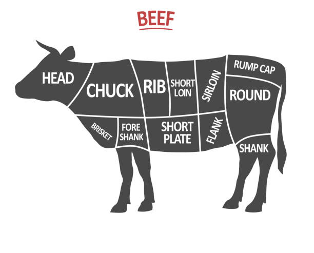 bildbanksillustrationer, clip art samt tecknat material och ikoner med stycknings delar av nötkött. affisch butcher diagram. ko silhuett isolerad. stycknings delar av kött. stycknings system för nötkött. vektor - loin