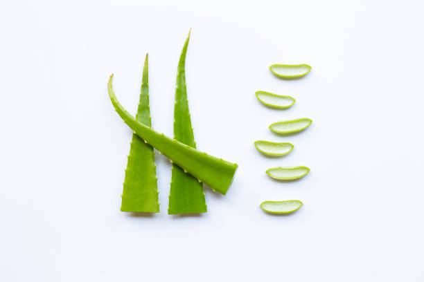 istock Aloe vera fresh leaf with slices isolated  on white 1134561945