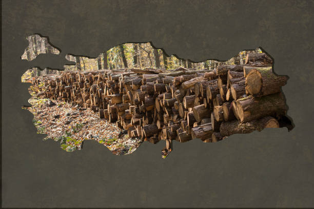 Roughly sketched out Map of Turkey as business concepts