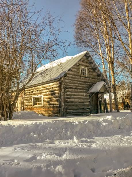 Historic Cabin in Talkeetna, Alaska A view from the road shows an old cabin.  This cabin has stood the test of time and many harsh winters. talkeetna mountains stock pictures, royalty-free photos & images