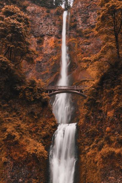 waterfall - otway national park imagens e fotografias de stock