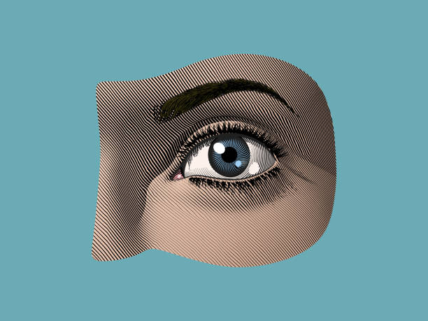ilustrações de stock, clip art, desenhos animados e ícones de human eye part color illustration vintage style - close up of iris
